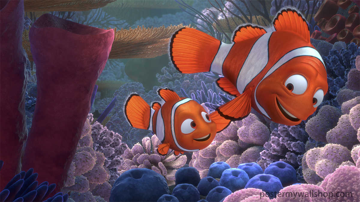 Finding Nemo: Exploring the cute pets of the Ocean